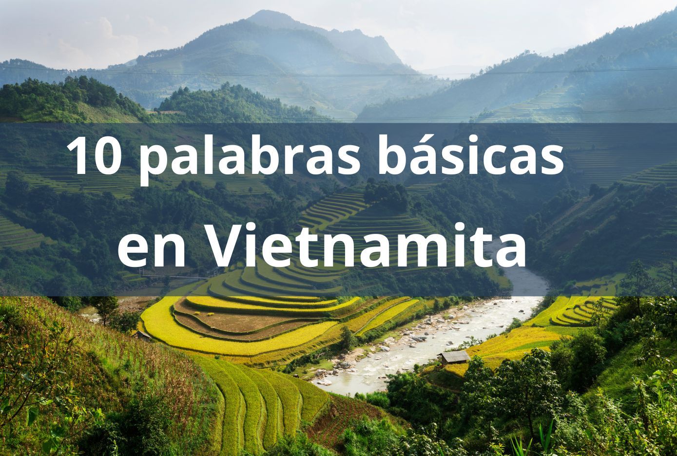 10 palabras basicas en vietnamita