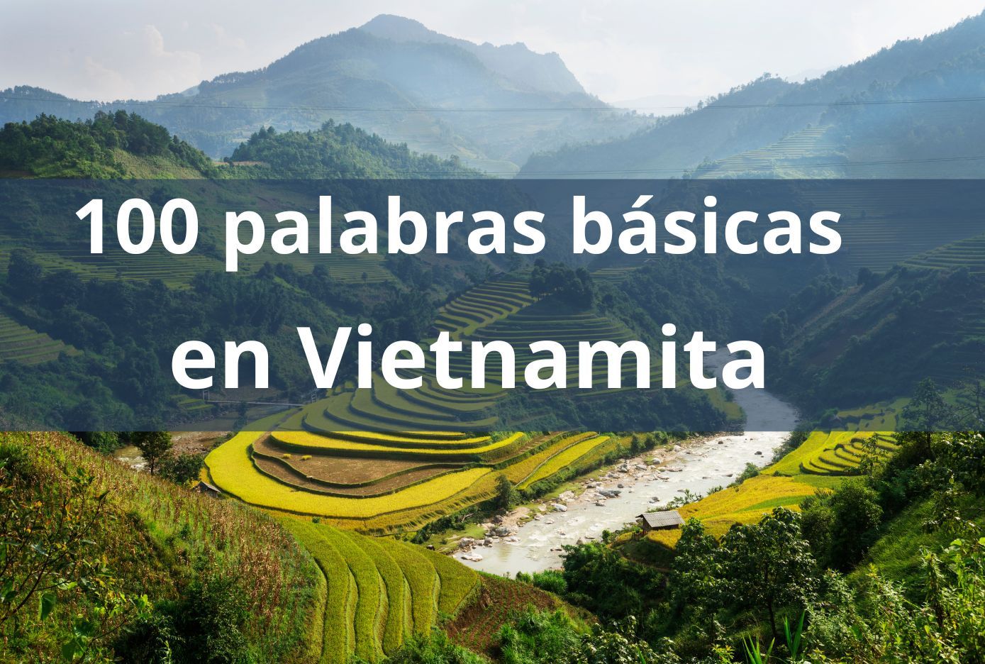 100 palabras en vietnamita