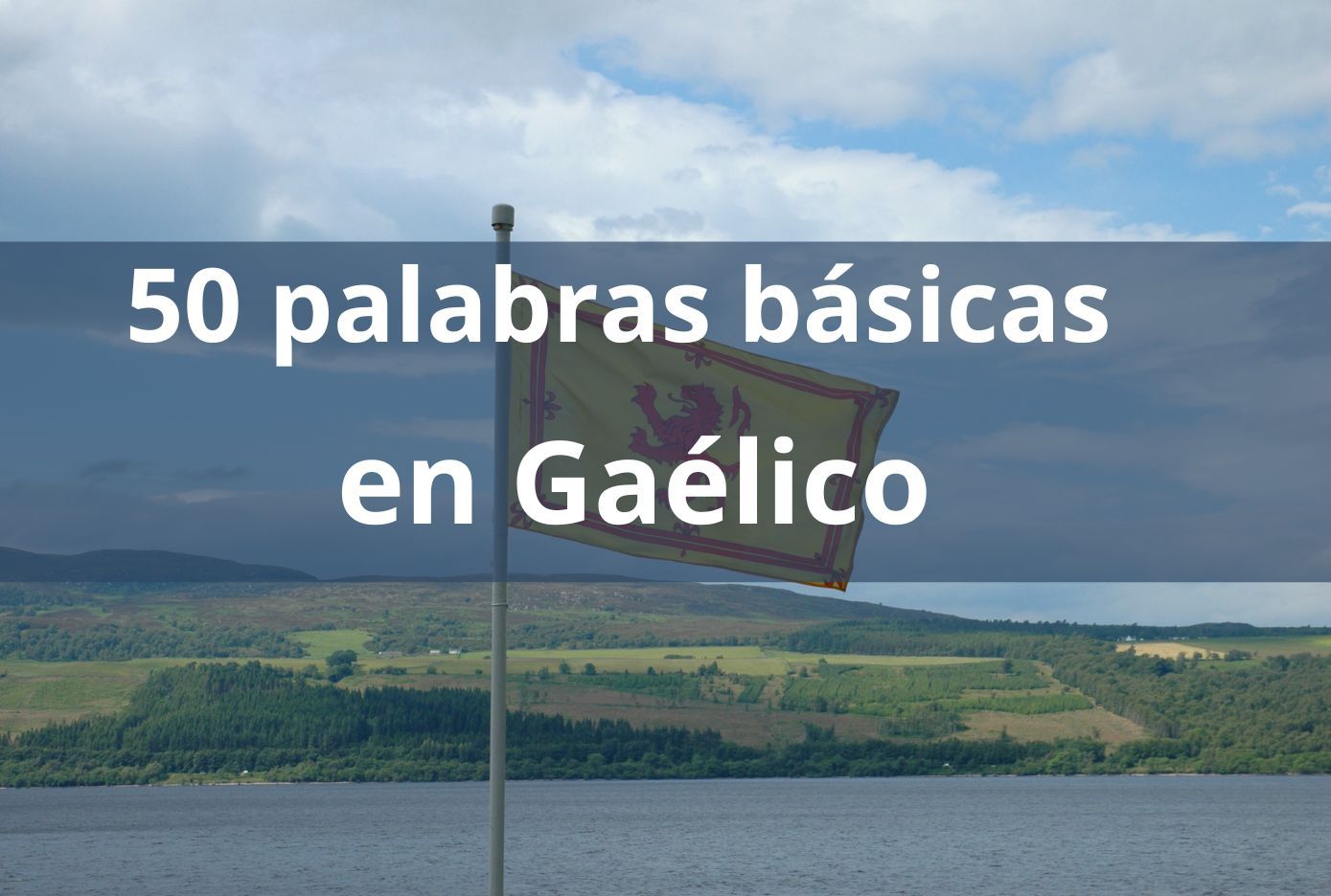 50 palabras en gaelico