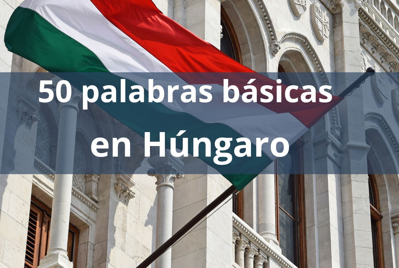 Las 50 palabras básicas en Húngaro