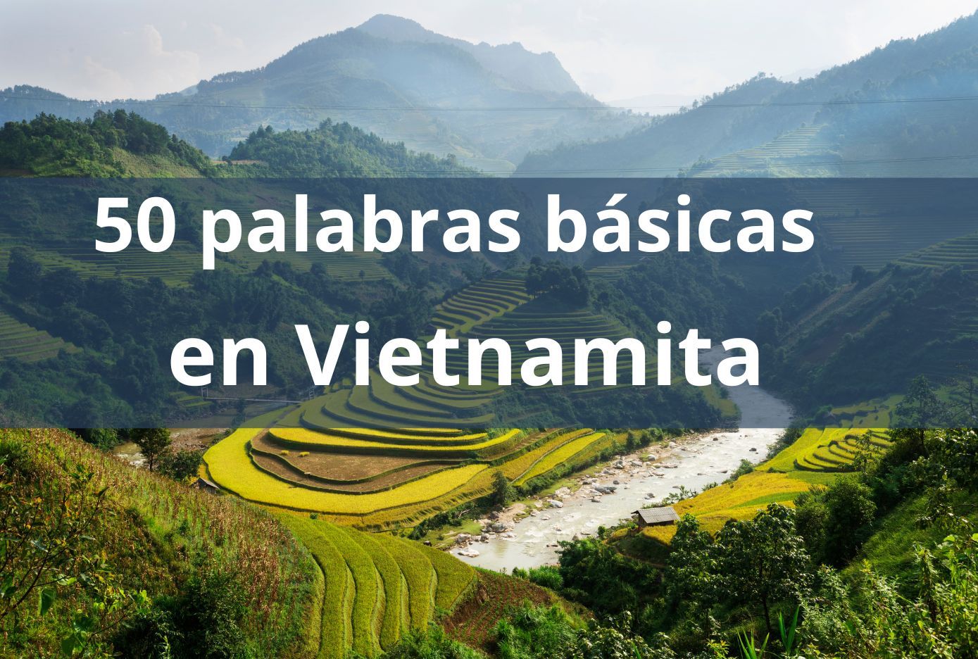 50 palabras en vietnamita