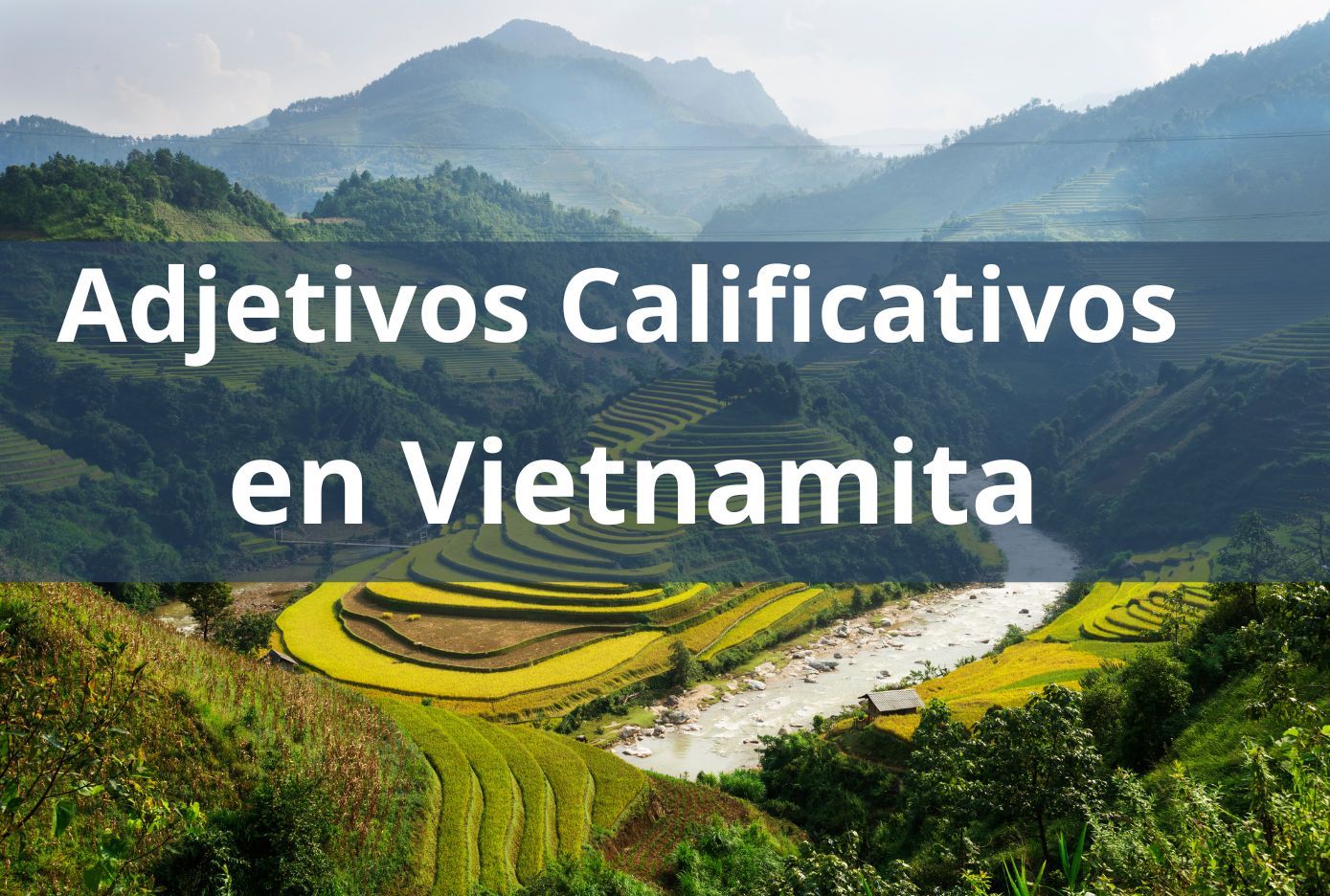 adjetivos en vietnamita