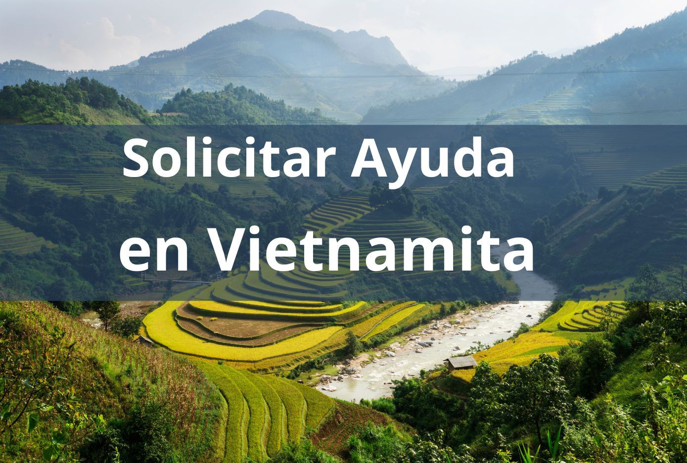 solicitar ayuda en vietnamita