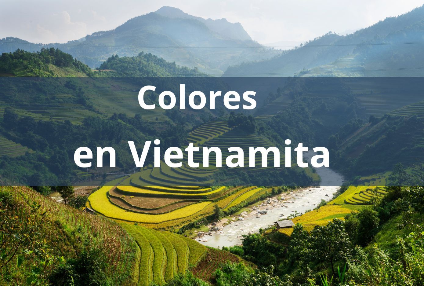 colores en vietnamita