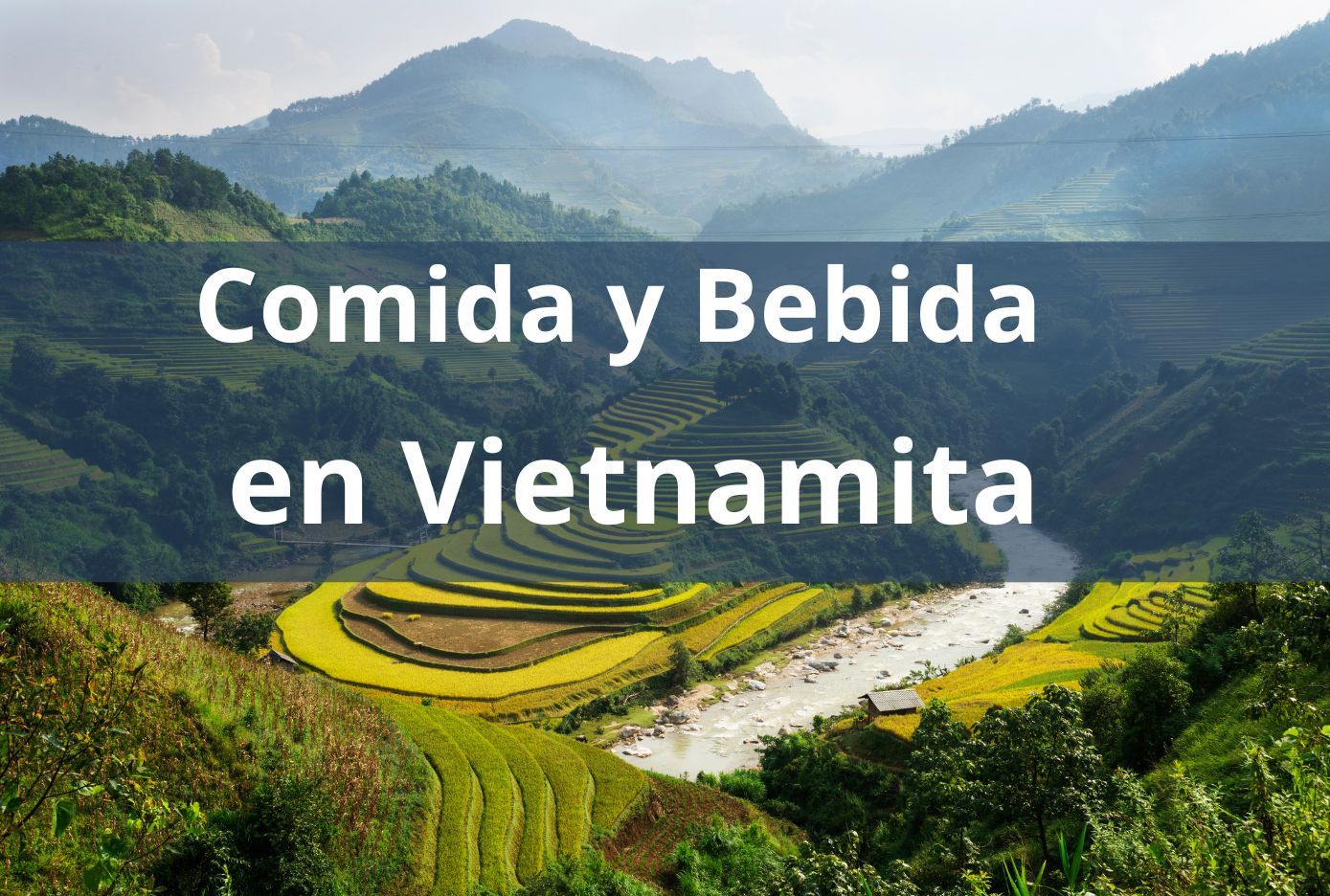 comida en vietnamita