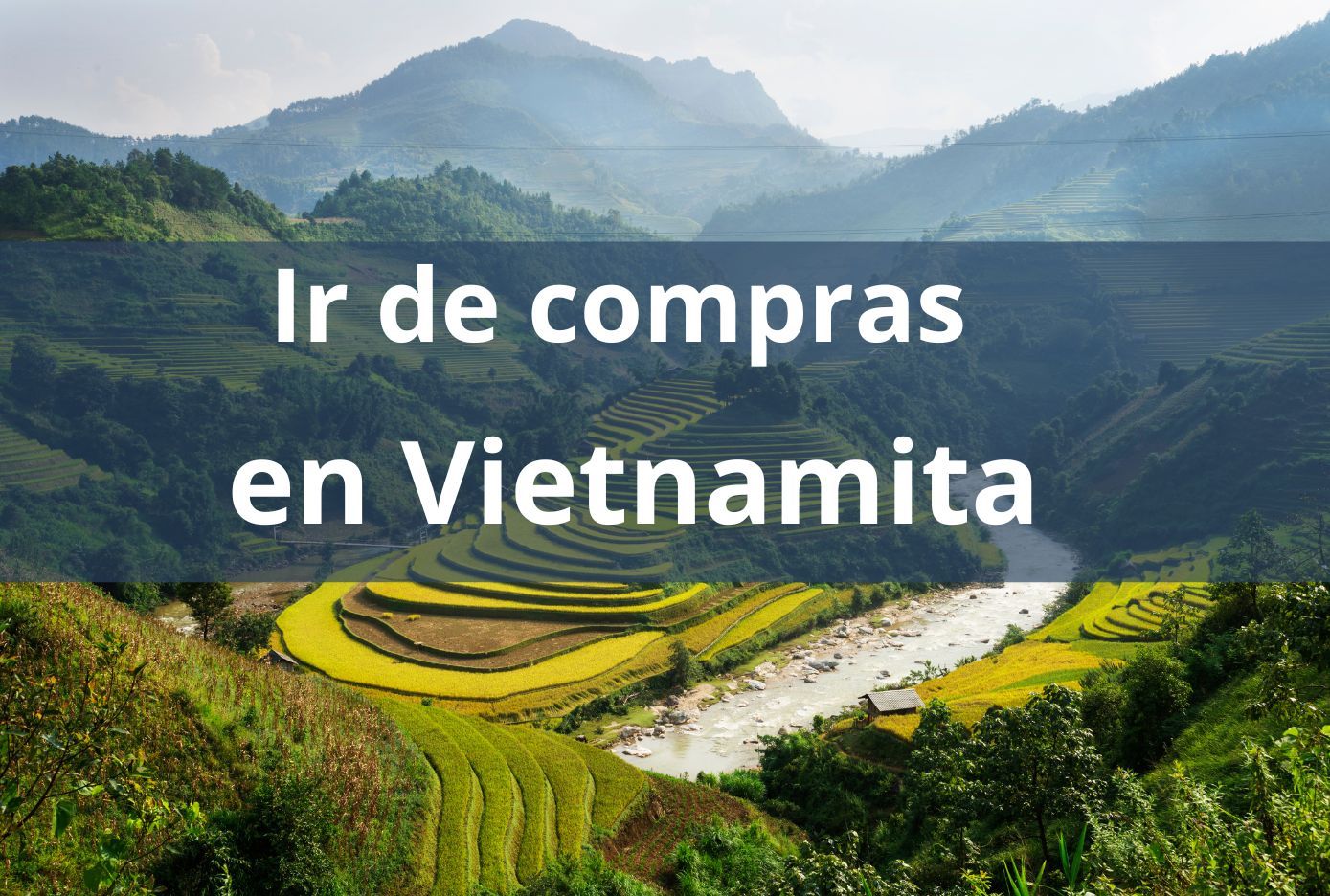 compras en vietnamita