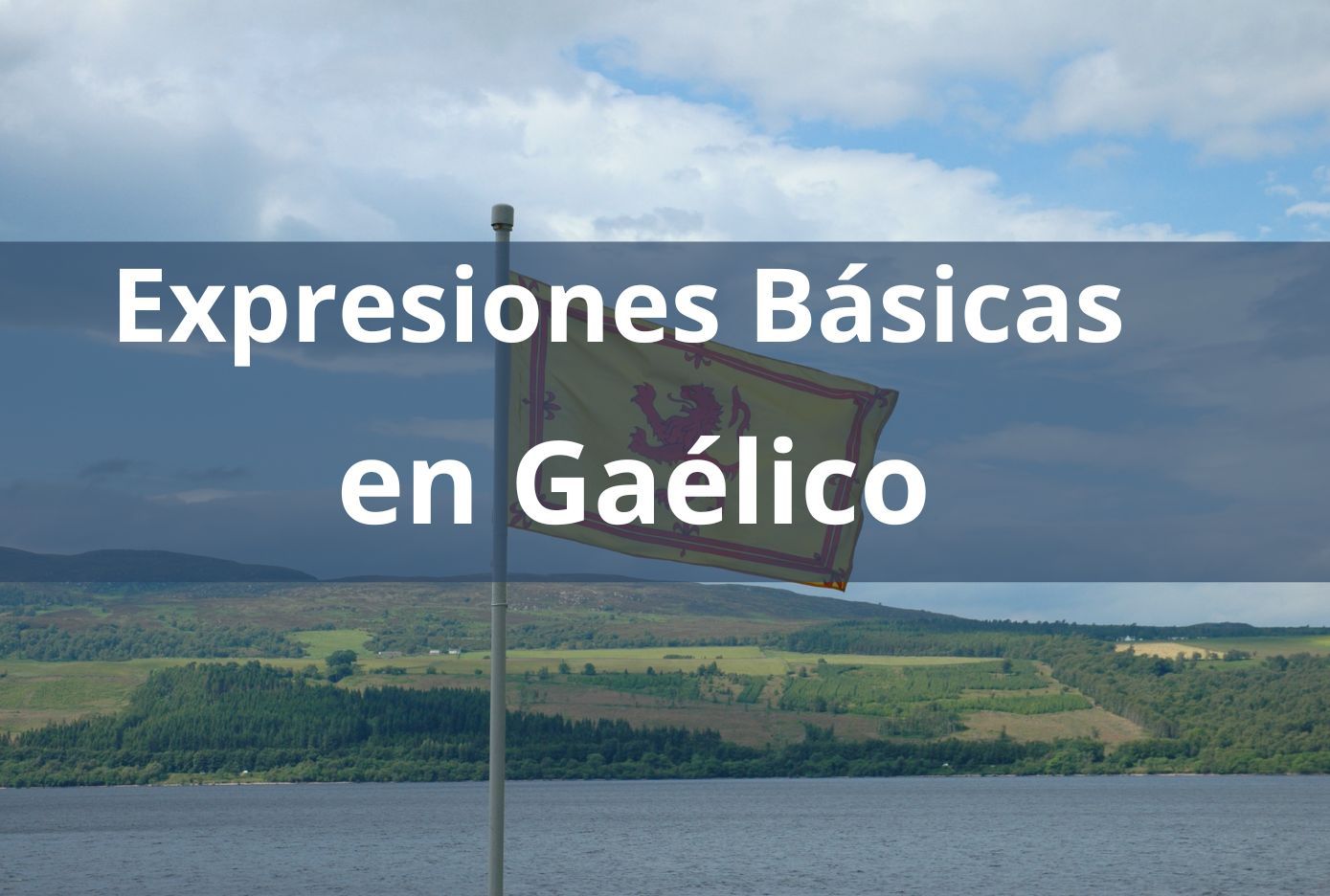 expresiones en gaelico