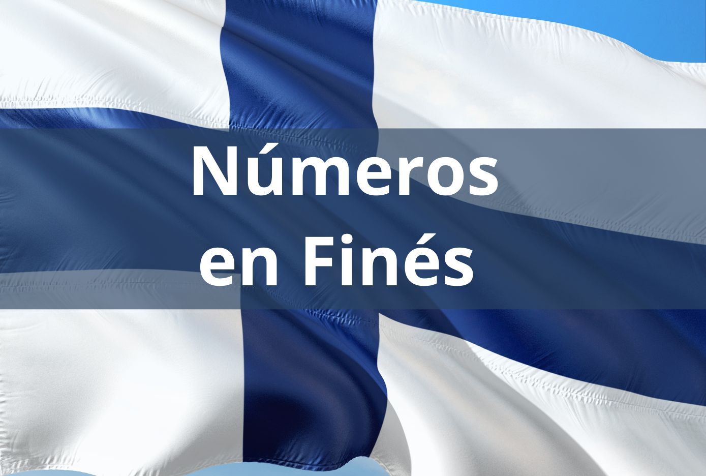 numeros en fines