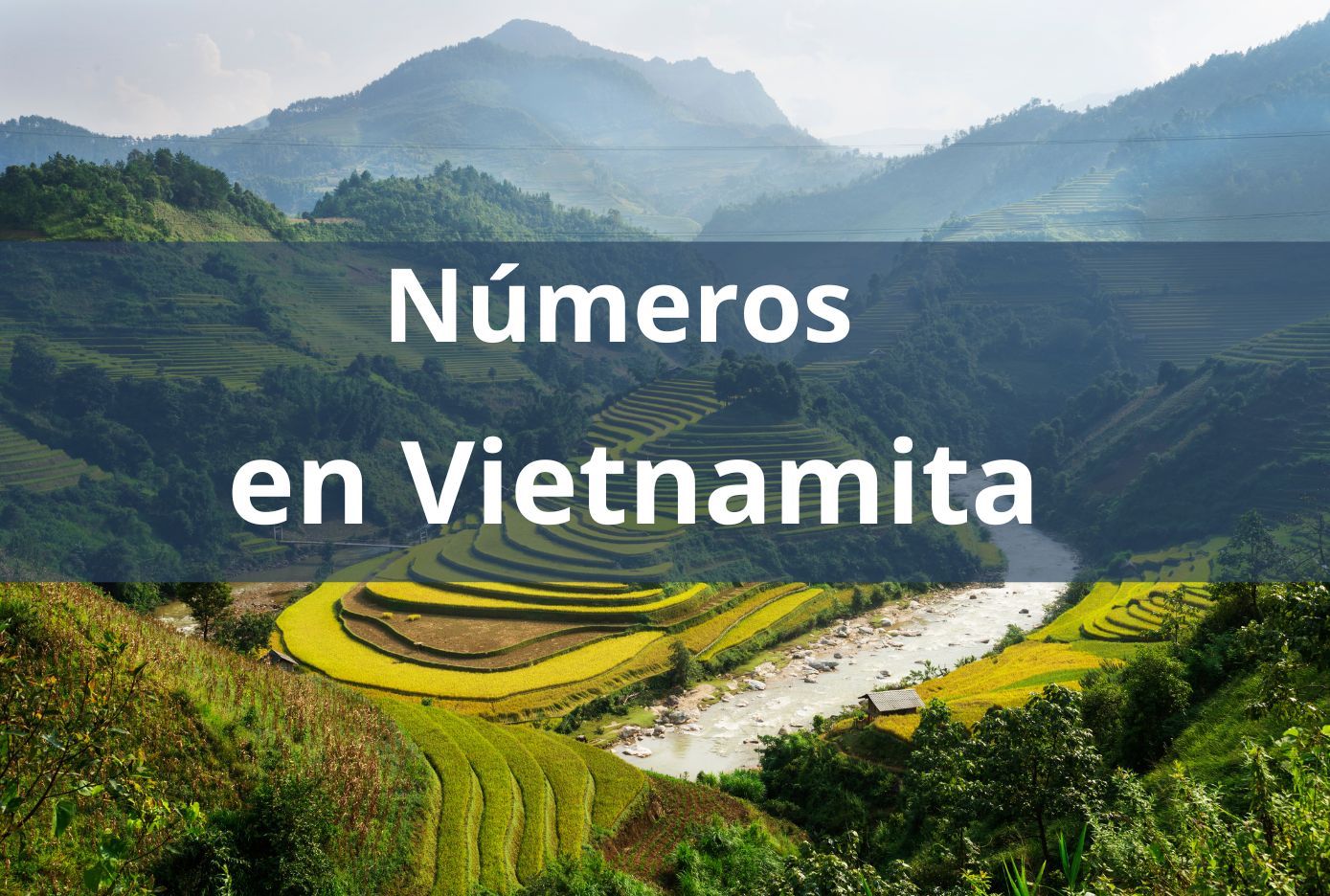 numeros en vietnamita