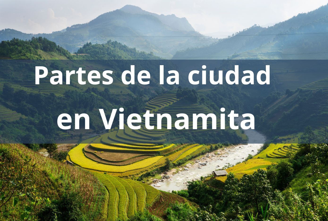 partes de la ciudad en vietnamita