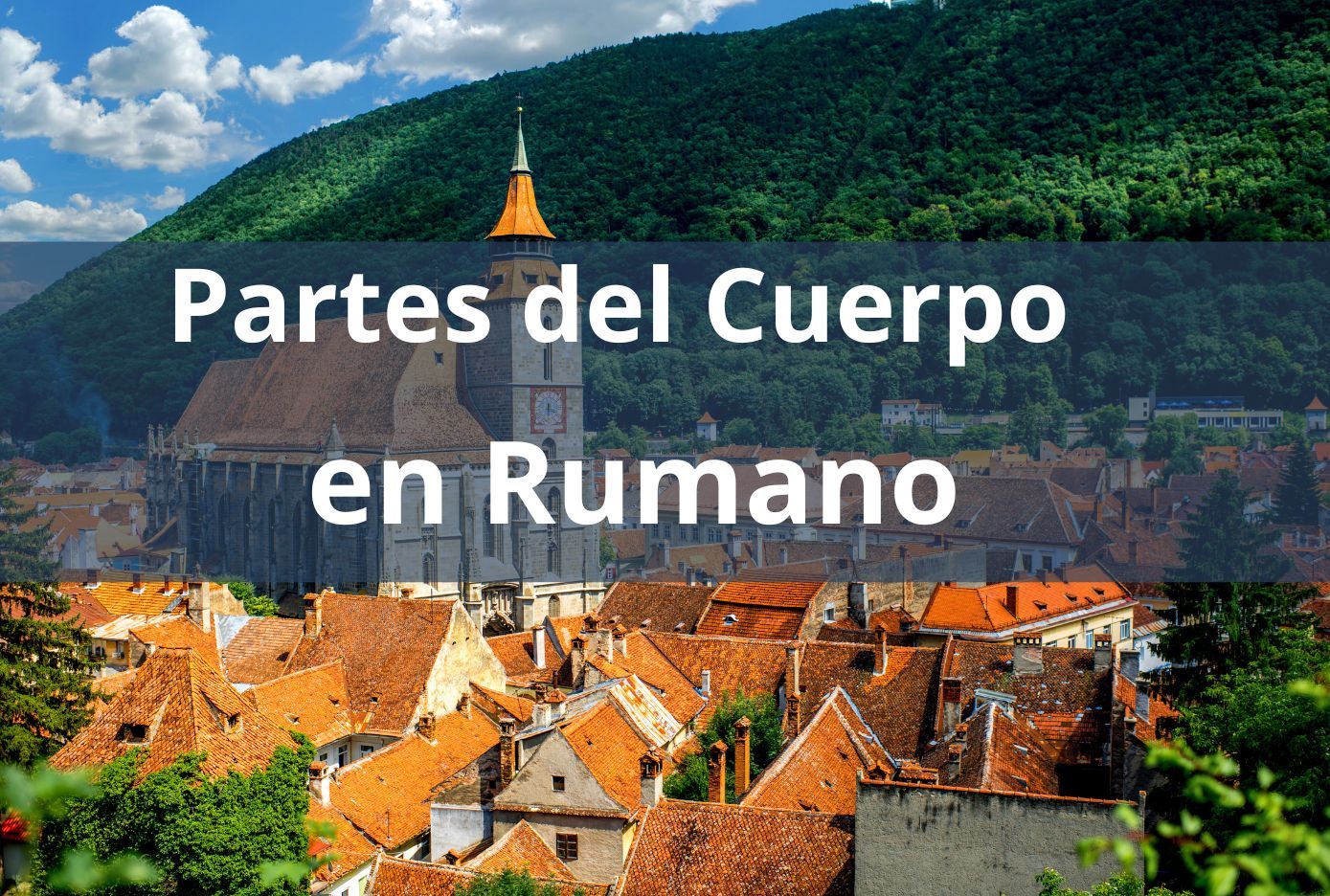 Cómo decir en Rumano las partes del cuerpo