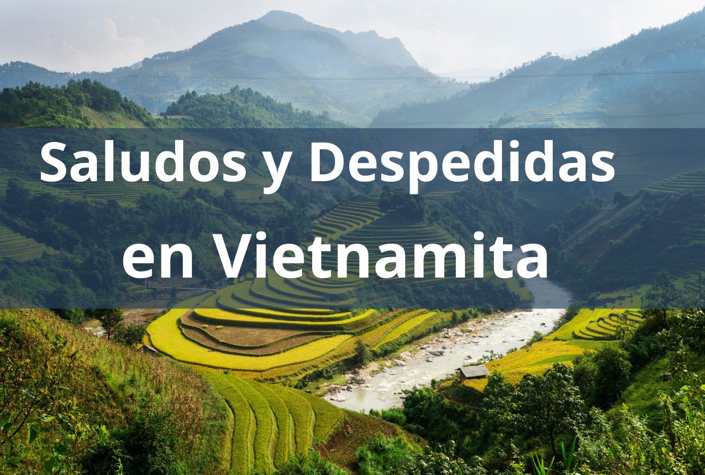 saludos y despedidas en vietnamita