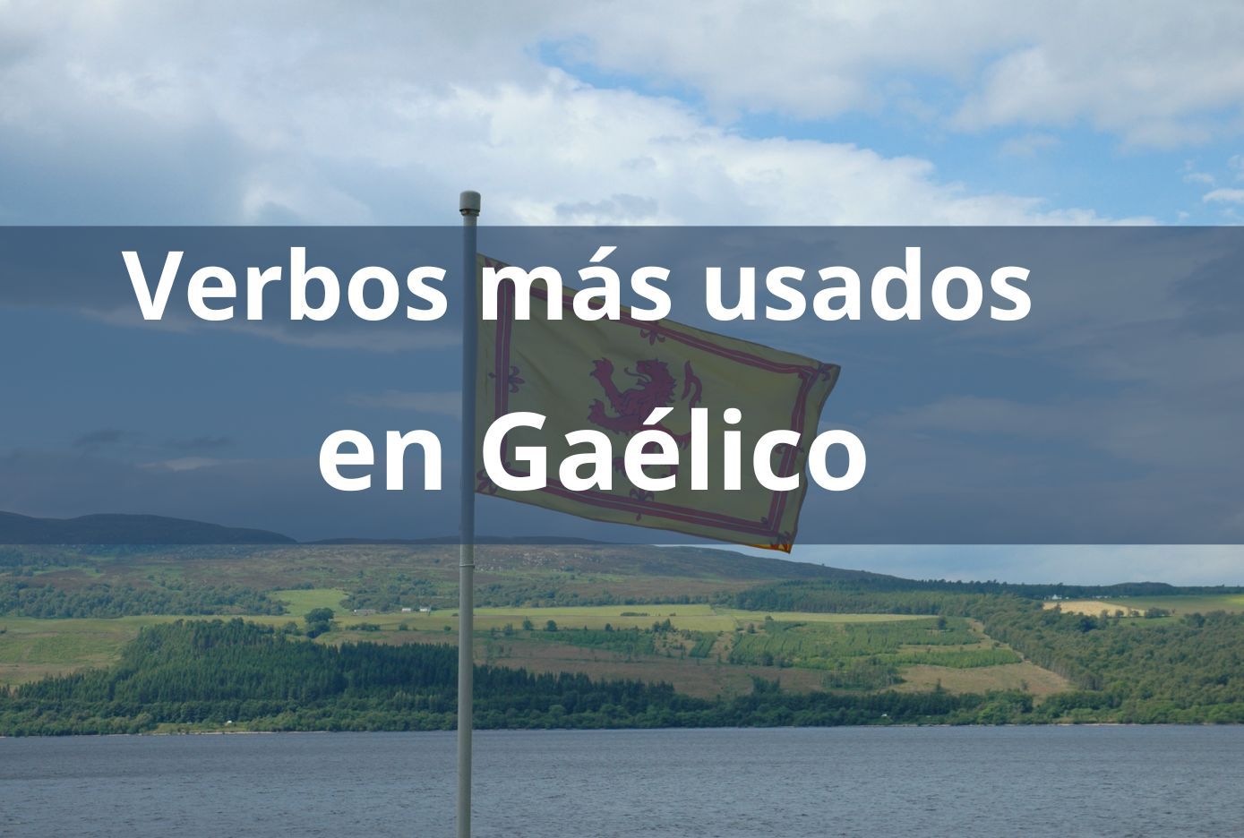 vebros en gaelico